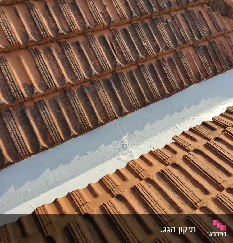 רעפים כתומים עם פס איטום לבן על הגג